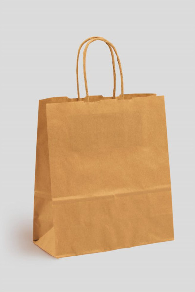 50 VP Papier-Tragetaschen Toptwist braun 19 x 21 cm