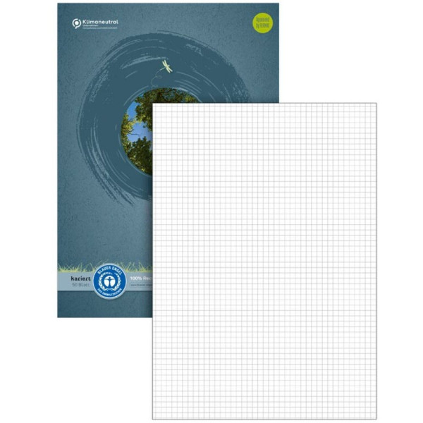 Staufen® Briefblock green 608585020 DIN A4 kariert ungelocht ohne Rand 70 g/m² 50 Blatt