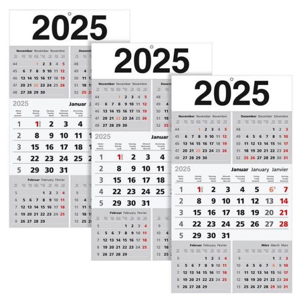 3x 5-Monats-Wandkalender 2025